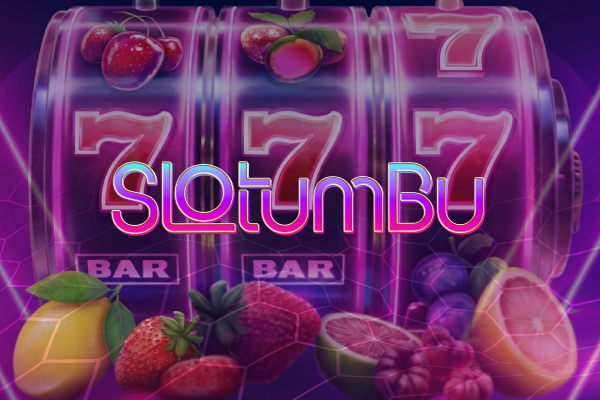 Slotumbuguncel.net Giriş | 2026 Güncel Link, Hızlı Bağlantı ve Güvenli Erişim